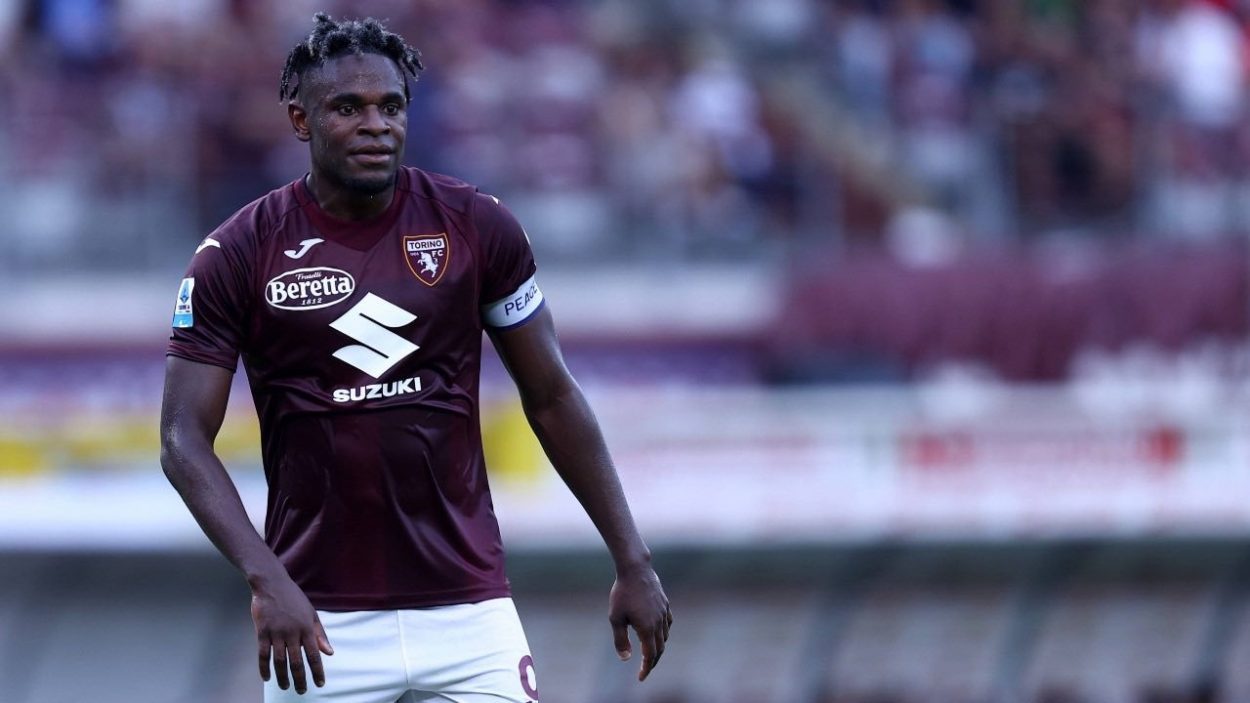 Duvan Zapata, attaccante del Torino / Imago / www.lacasadic.com